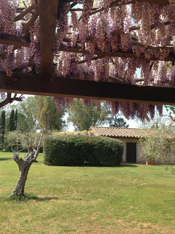 Casa di campagna Fattoria Cirene *