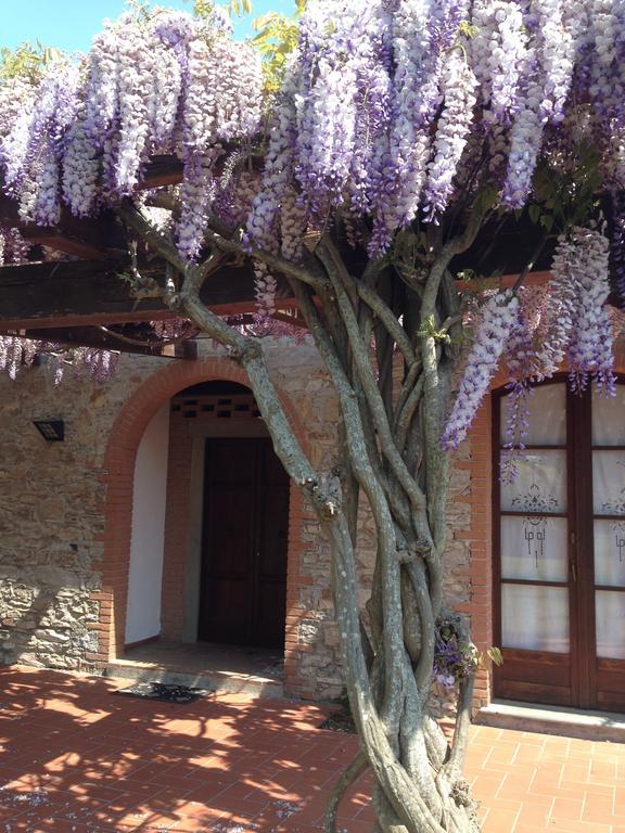 Casa di campagna Fattoria Cirene *